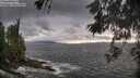 ./images/koeye/fitz-hugh/20260528/fitz-hugh20260528_194002M.jpg