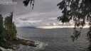 ./images/koeye/fitz-hugh/20260528/fitz-hugh20260528_195001M.jpg