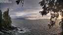 ./images/koeye/fitz-hugh/20260528/fitz-hugh20260528_202501M.jpg