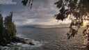 ./images/koeye/fitz-hugh/20260528/fitz-hugh20260528_204501M.jpg