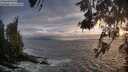 ./images/koeye/fitz-hugh/20260528/fitz-hugh20260528_205001M.jpg