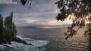 ./images/koeye/fitz-hugh/20260528/fitz-hugh20260528_205501M.jpg