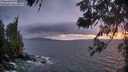 ./images/koeye/fitz-hugh/20260528/fitz-hugh20260528_215501M.jpg