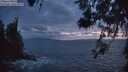 ./images/koeye/fitz-hugh/20260528/fitz-hugh20260528_222001M.jpg