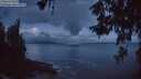 ./images/koeye/fitz-hugh/20260529/fitz-hugh20260529_043501M.jpg