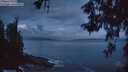 ./images/koeye/fitz-hugh/20260529/fitz-hugh20260529_044001M.jpg