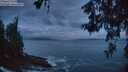./images/koeye/fitz-hugh/20260529/fitz-hugh20260529_044502M.jpg