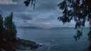 ./images/koeye/fitz-hugh/20260529/fitz-hugh20260529_045001M.jpg