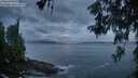 ./images/koeye/fitz-hugh/20260529/fitz-hugh20260529_045501M.jpg