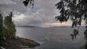 ./images/koeye/fitz-hugh/20260529/fitz-hugh20260529_053501M.jpg
