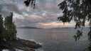 ./images/koeye/fitz-hugh/20260529/fitz-hugh20260529_054501M.jpg