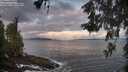 ./images/koeye/fitz-hugh/20260529/fitz-hugh20260529_055501M.jpg