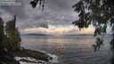 ./images/koeye/fitz-hugh/20260529/fitz-hugh20260529_060501M.jpg