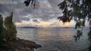 ./images/koeye/fitz-hugh/20260529/fitz-hugh20260529_061001M.jpg