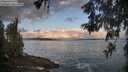 ./images/koeye/fitz-hugh/20260529/fitz-hugh20260529_062502M.jpg