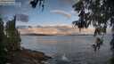 ./images/koeye/fitz-hugh/20260529/fitz-hugh20260529_063001M.jpg