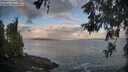 ./images/koeye/fitz-hugh/20260529/fitz-hugh20260529_064001M.jpg
