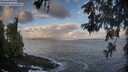 ./images/koeye/fitz-hugh/20260529/fitz-hugh20260529_064501M.jpg