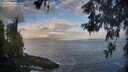 ./images/koeye/fitz-hugh/20260529/fitz-hugh20260529_065002M.jpg