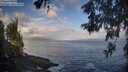 ./images/koeye/fitz-hugh/20260529/fitz-hugh20260529_070002M.jpg