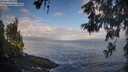 ./images/koeye/fitz-hugh/20260529/fitz-hugh20260529_070501M.jpg