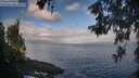 ./images/koeye/fitz-hugh/20260529/fitz-hugh20260529_071001M.jpg