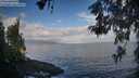 ./images/koeye/fitz-hugh/20260529/fitz-hugh20260529_071501M.jpg