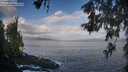 ./images/koeye/fitz-hugh/20260529/fitz-hugh20260529_072501M.jpg