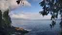 ./images/koeye/fitz-hugh/20260529/fitz-hugh20260529_074001M.jpg