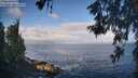 ./images/koeye/fitz-hugh/20260529/fitz-hugh20260529_075501M.jpg