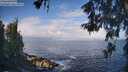 ./images/koeye/fitz-hugh/20260529/fitz-hugh20260529_080501M.jpg