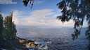 ./images/koeye/fitz-hugh/20260529/fitz-hugh20260529_081001M.jpg