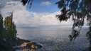 ./images/koeye/fitz-hugh/20260529/fitz-hugh20260529_083501M.jpg