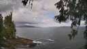 ./images/koeye/fitz-hugh/20260529/fitz-hugh20260529_090501M.jpg