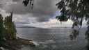 ./images/koeye/fitz-hugh/20260529/fitz-hugh20260529_091502M.jpg