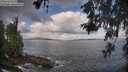 ./images/koeye/fitz-hugh/20260529/fitz-hugh20260529_093002M.jpg