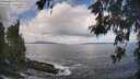 ./images/koeye/fitz-hugh/20260529/fitz-hugh20260529_093501M.jpg