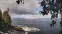 ./images/koeye/fitz-hugh/20260529/fitz-hugh20260529_095002M.jpg