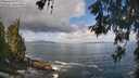 ./images/koeye/fitz-hugh/20260529/fitz-hugh20260529_095501M.jpg