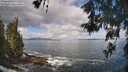 ./images/koeye/fitz-hugh/20260529/fitz-hugh20260529_100501M.jpg
