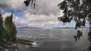 ./images/koeye/fitz-hugh/20260529/fitz-hugh20260529_103501M.jpg
