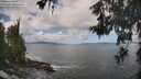 ./images/koeye/fitz-hugh/20260529/fitz-hugh20260529_104501M.jpg