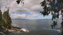 ./images/koeye/fitz-hugh/20260529/fitz-hugh20260529_105001M.jpg