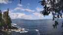 ./images/koeye/fitz-hugh/20260529/fitz-hugh20260529_113001M.jpg