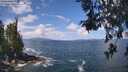 ./images/koeye/fitz-hugh/20260529/fitz-hugh20260529_113501M.jpg