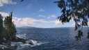 ./images/koeye/fitz-hugh/20260529/fitz-hugh20260529_114501M.jpg