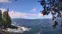 ./images/koeye/fitz-hugh/20260529/fitz-hugh20260529_115002M.jpg