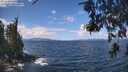 ./images/koeye/fitz-hugh/20260529/fitz-hugh20260529_115501M.jpg