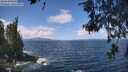 ./images/koeye/fitz-hugh/20260529/fitz-hugh20260529_120001M.jpg