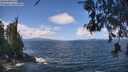 ./images/koeye/fitz-hugh/20260529/fitz-hugh20260529_120501M.jpg